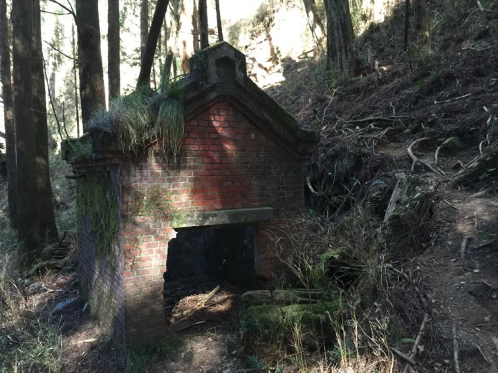 1041221 單攻水漾森林 A線(鹿屈山)去B線(林道)回