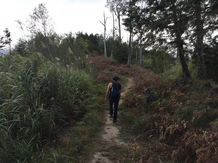 1041221 單攻水漾森林 A線(鹿屈山)去B線(林道)回