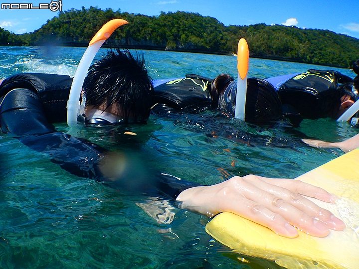 [小惡魔2015員旅] 帛琉浮潛Day2：牛奶湖/七彩魚/水母湖/鯊魚城/干貝城/美人魚水道