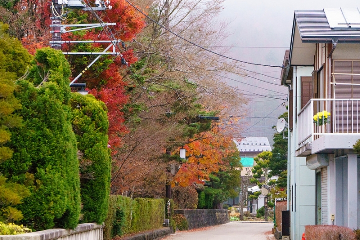 2015-11-25 東京 日本行 day 2