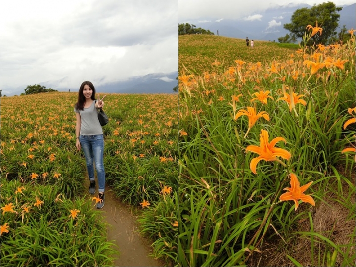 【台東】隨心所欲花東行 滿妹豬腳→六十石山→伯朗大道→金樽咖啡→多良車站→鐵花村→星星部落→月光小棧吃著布朗尼配太平洋