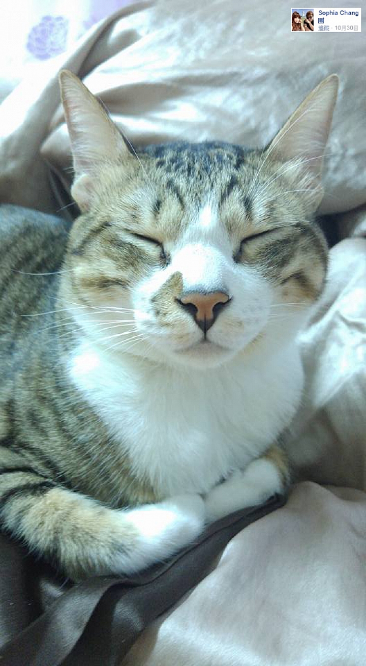 煙火~LG G4 & V10 精選作品-(第26批圖)