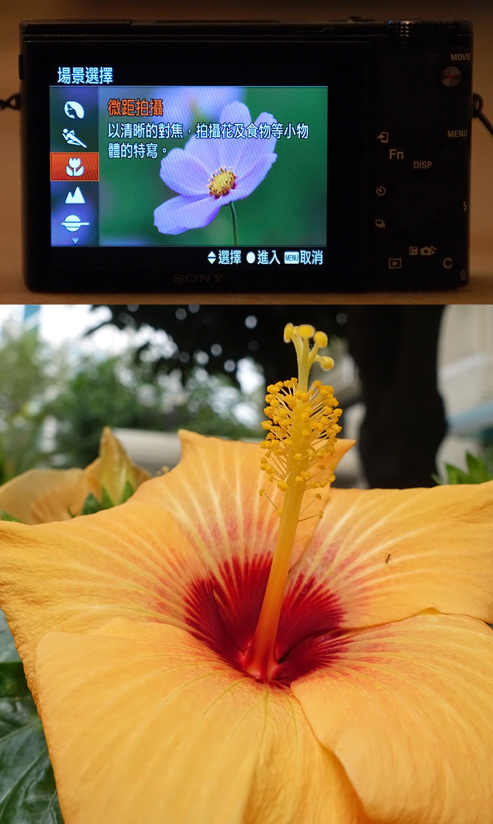 見證神蹟(機)捕捉瞬間的美好時刻 SONY RX100 M4 可以輕鬆辦到嗎？