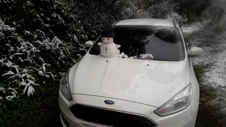 FOCUS 1.0 賞雪去