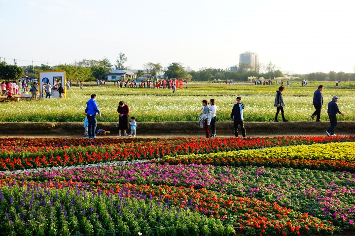 心花怒放之桃園花彩節行