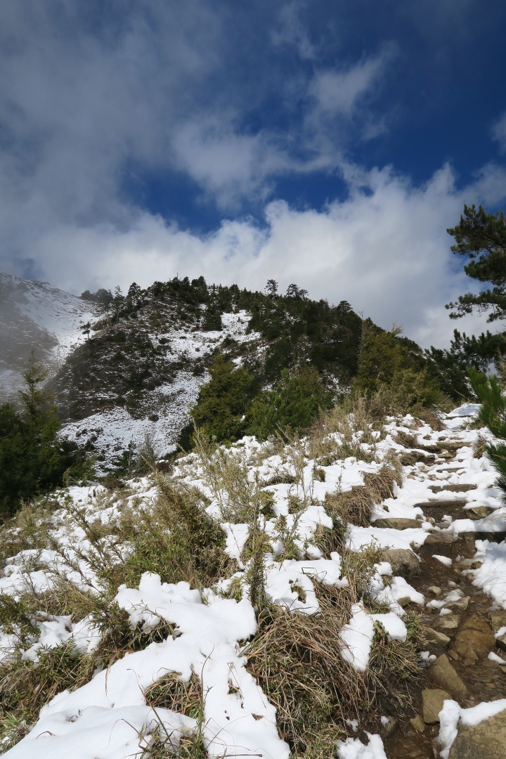 雪山東峰賞雪去