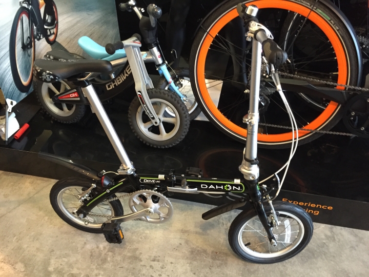 dahon 選擇 小朋友