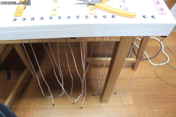 [硬漢工作室] 十三太寶動物樂隊