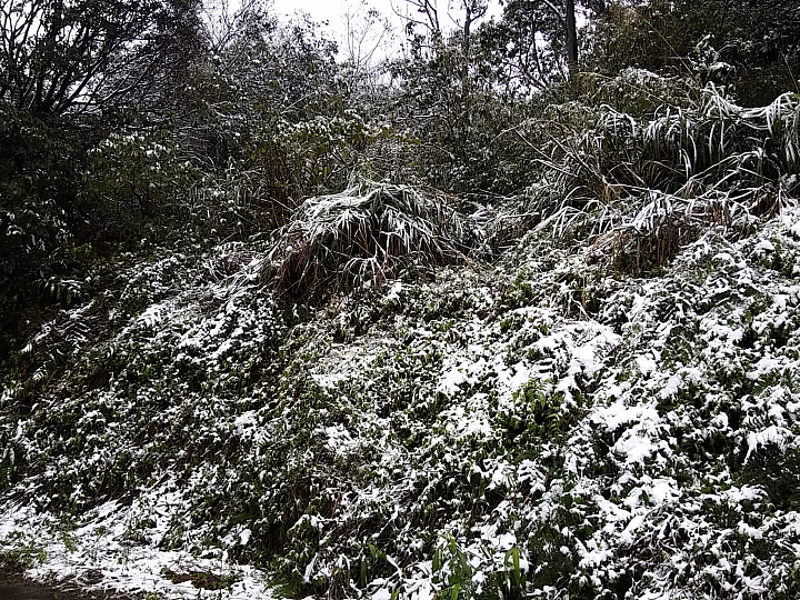 基隆姜子寮山竟然下雪