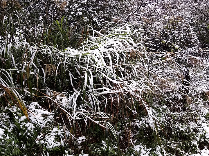 基隆姜子寮山竟然下雪