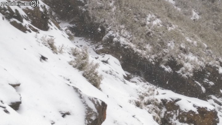 105合歡山下大雪嘞