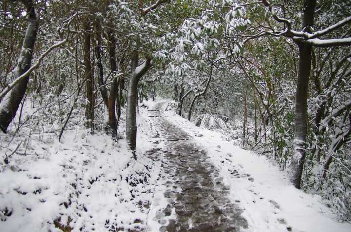 賞雪 帶PENTAX就對了