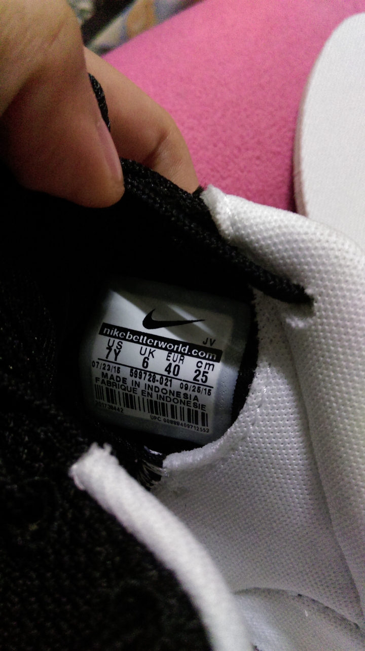 Roshe run 的真偽