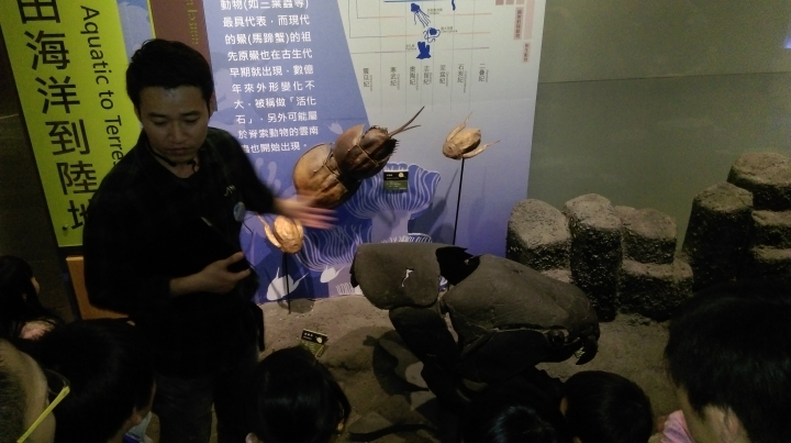 穿越侏儸紀世界-與恐龍睡一睌~~大人小孩超興奮!!