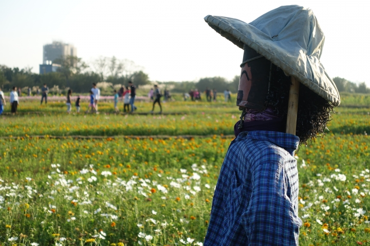 心花怒放之桃園花彩節行