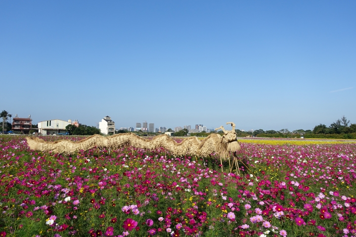心花怒放之桃園花彩節行