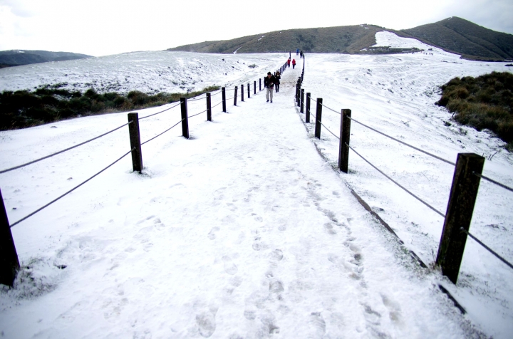 賞雪 帶PENTAX就對了