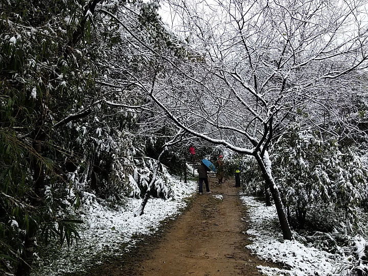基隆姜子寮山竟然下雪