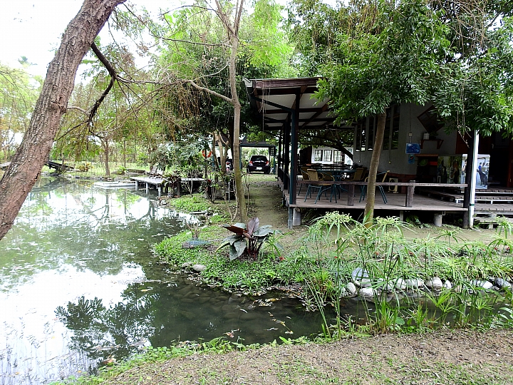在陽光下、在雨中、在兩者之間，里港大茉莉紙磚屋提供閒情。