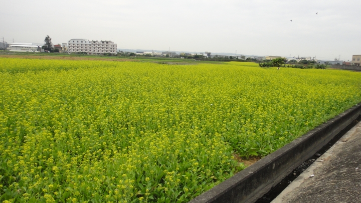 2015-12-29投69鄉道「向天圳、日月潭」消化特休假拼命玩之二