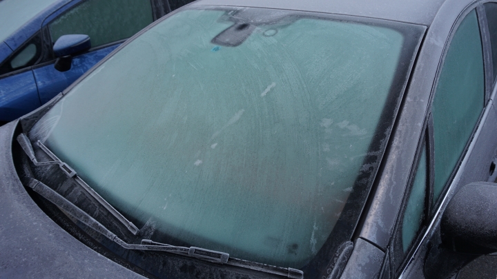 秋之日本 雷諾自駕微旅行 跟著LUTECIA出發吧