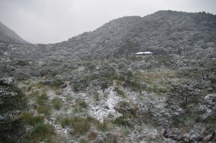 賞雪 帶PENTAX就對了