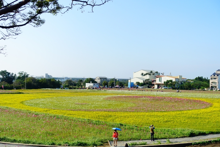 心花怒放之桃園花彩節行