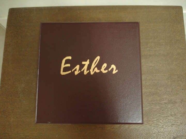 Esther M1 青春版 [體驗分享]
