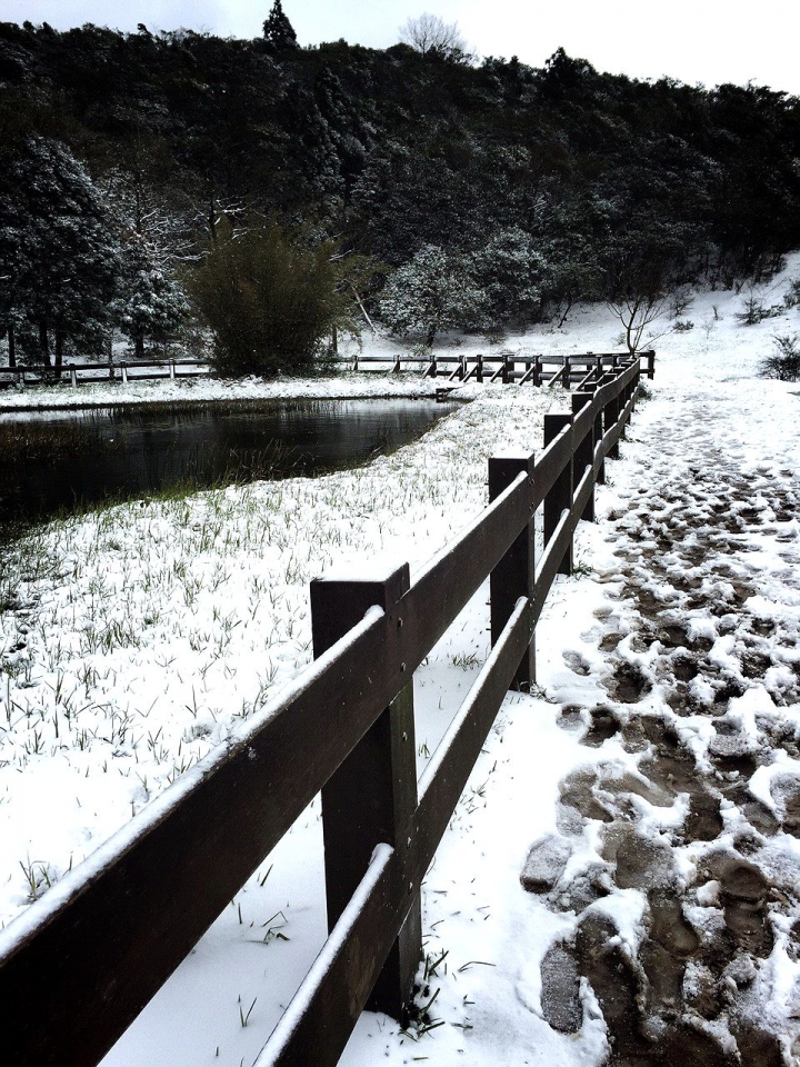 賞雪 帶PENTAX就對了