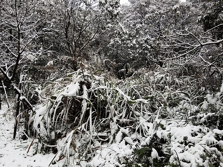 基隆姜子寮山竟然下雪