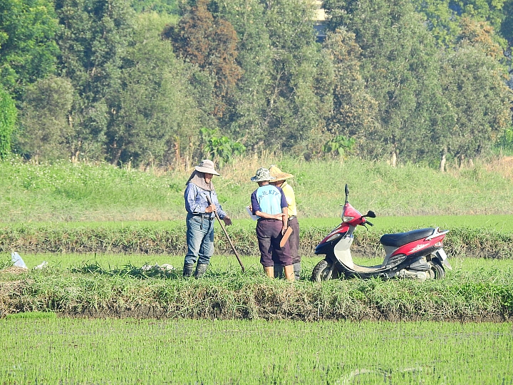 Nikon P900在家跨年過元旦，記錄好幾天的精彩，並分享星空、星軌、夜景。