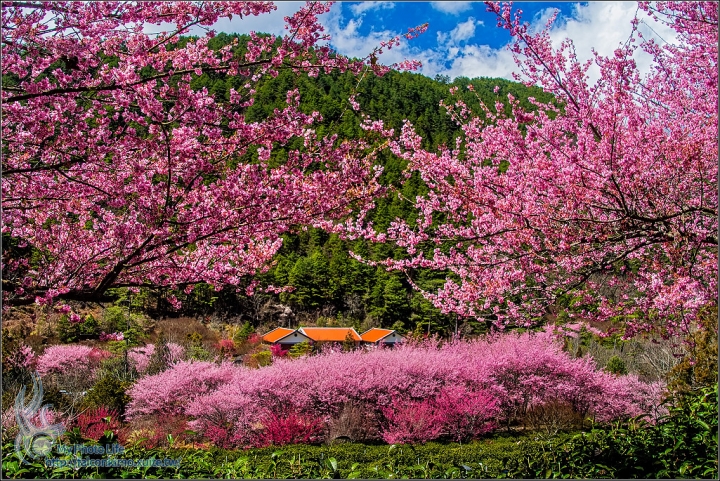 PENTAX 2015的回憶