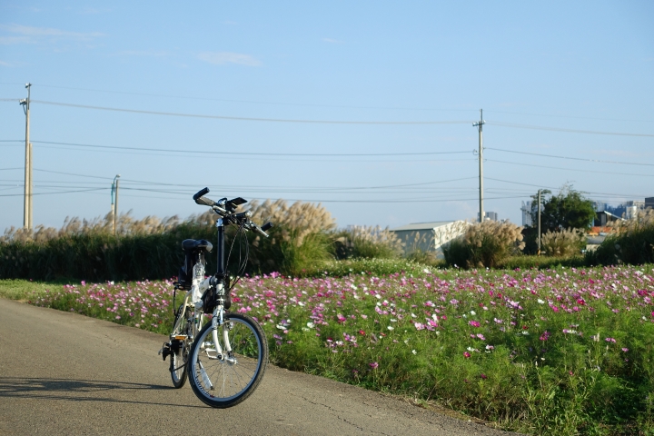 心花怒放之桃園花彩節行