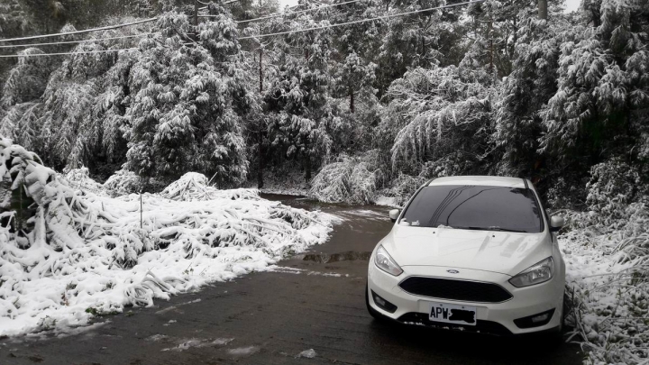 FOCUS 1.0 賞雪去