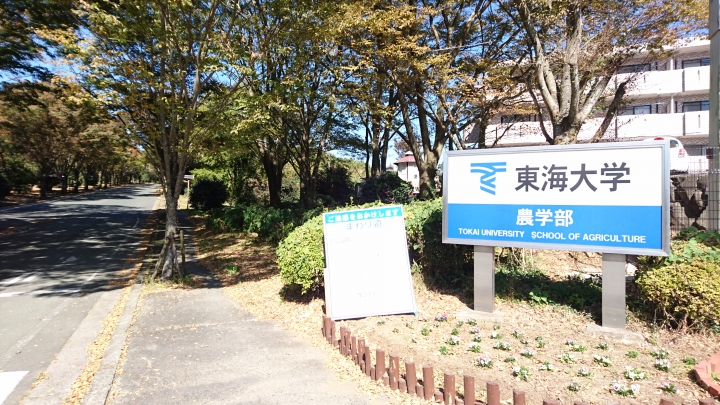 20151025 八位大叔登路日本南九州單車行----第二天