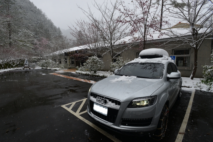 Q7賞雪行