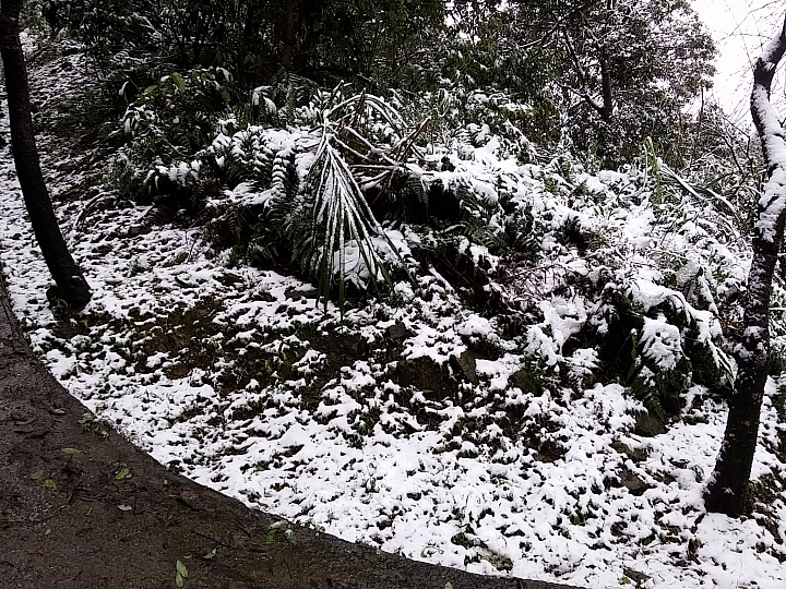 基隆姜子寮山竟然下雪