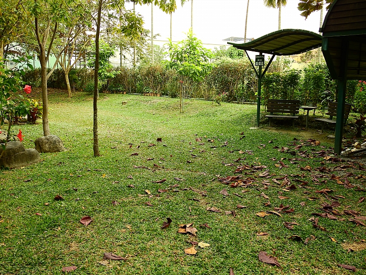 在陽光下、在雨中、在兩者之間，里港大茉莉紙磚屋提供閒情。