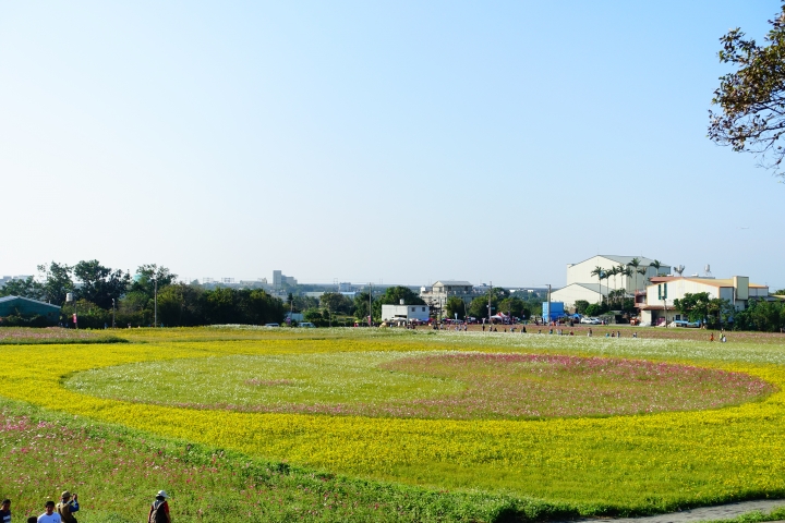 心花怒放之桃園花彩節行