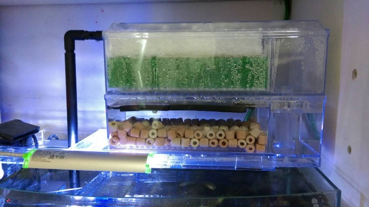 這樣的過濾系統跟生物數量可否負荷?