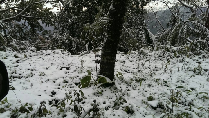 明天上午哪裡還有下雪可以不用雪鏈就能開車去的