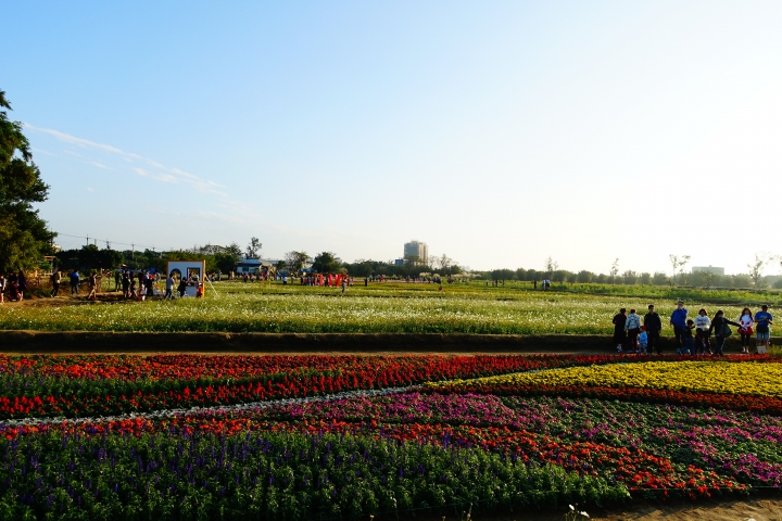 心花怒放之桃園花彩節行