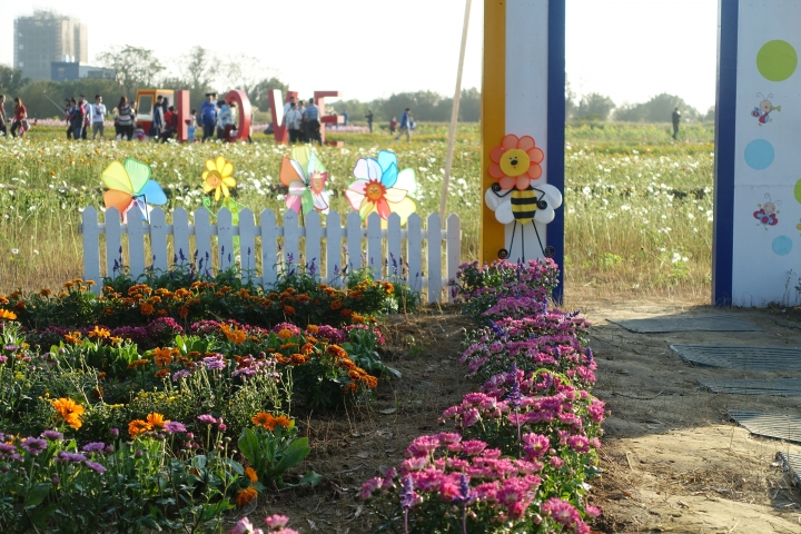 心花怒放之桃園花彩節行