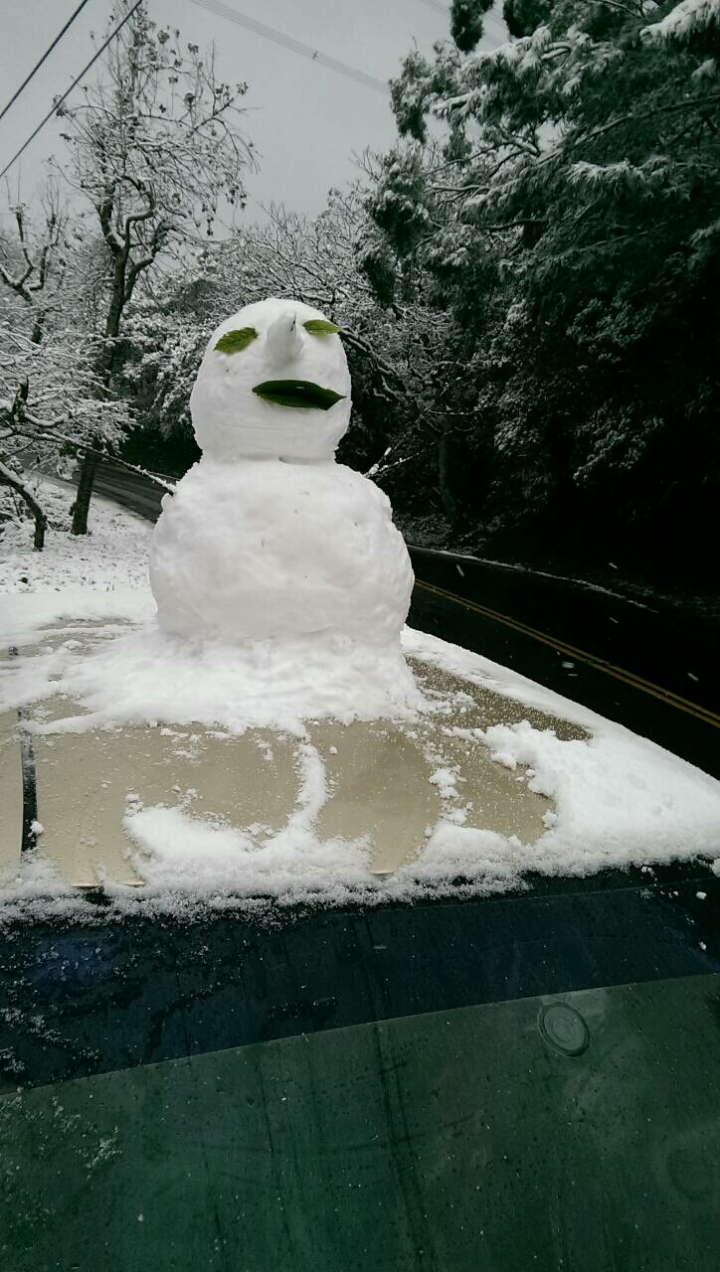 五指山下大雪