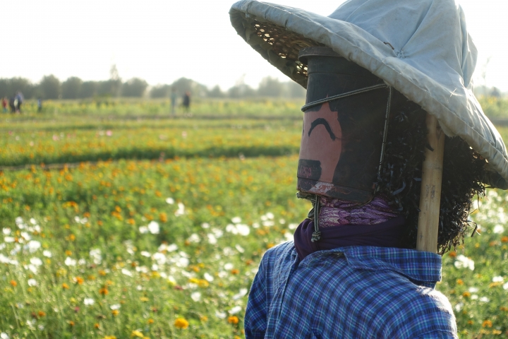 心花怒放之桃園花彩節行