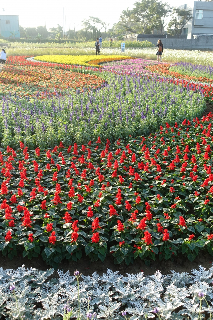 心花怒放之桃園花彩節行