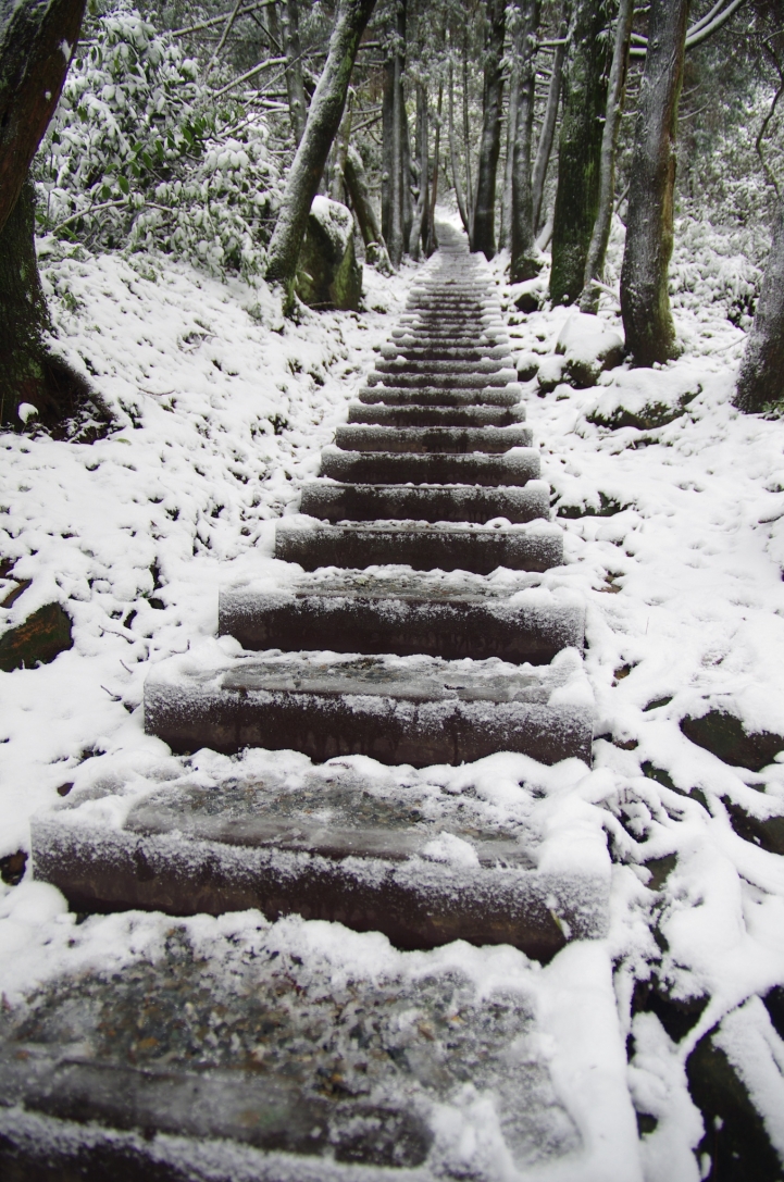 賞雪 帶PENTAX就對了