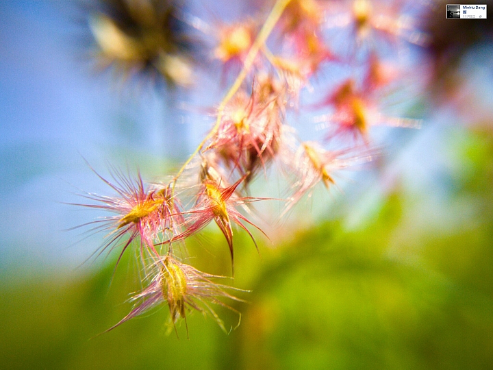 LG G4 & V10 精選作品-(第27批圖)2016.1.16