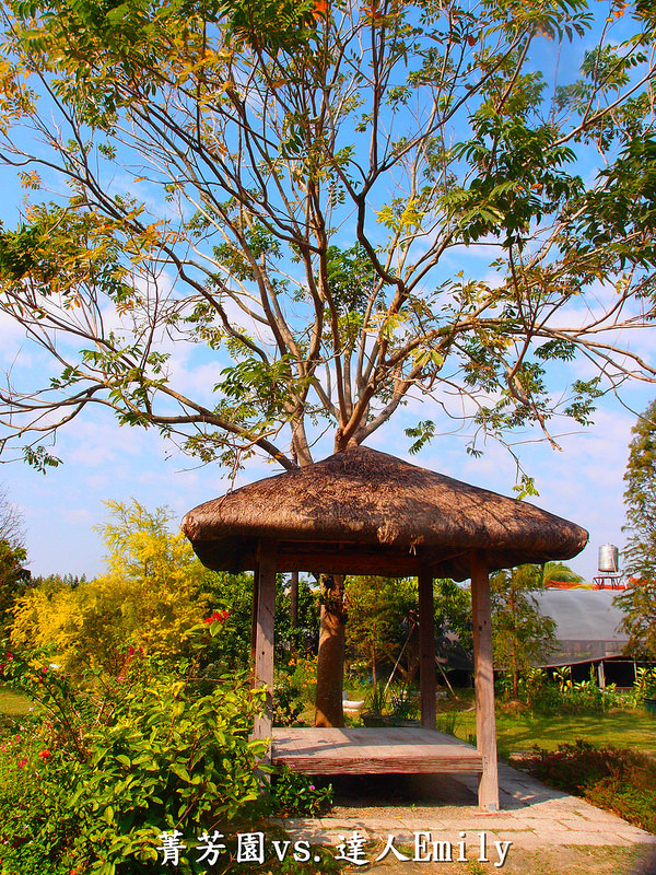 【彰化田尾】:菁芳園庭園餐廳,觀賞落羽松正當令,半自助Buffet0吃到飽