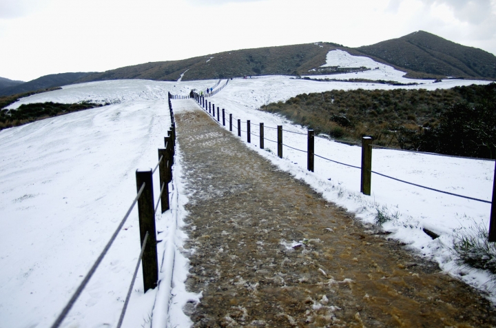 賞雪 帶PENTAX就對了